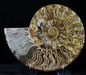 Cut And Polished Ammonite Pair - Agatized #27711-3